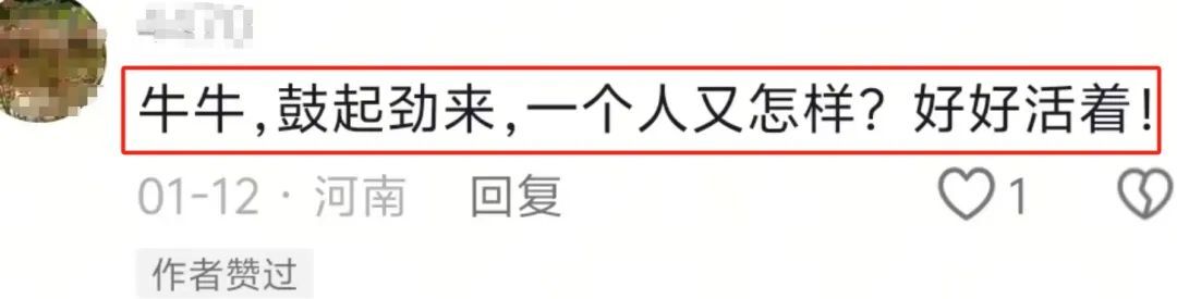 牛莉晒夫妻合照否认离婚传闻，老戏骨也爱秀恩爱？网友质疑整容插图1