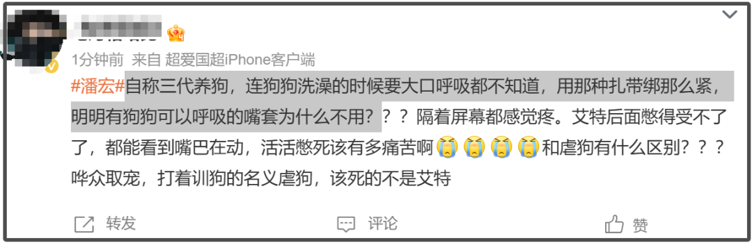 网红潘宏惹毛众人！为了流量给狗洗澡弄死了狗狗，大家喊话平台封了他吧插图2